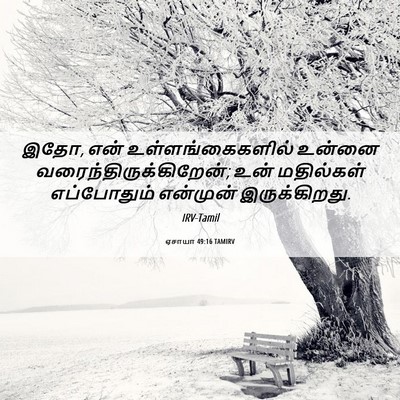 Picture 06 - ஏசாயா 49:16 TAMIRV - இதோ, என் - Bible Verse Picture