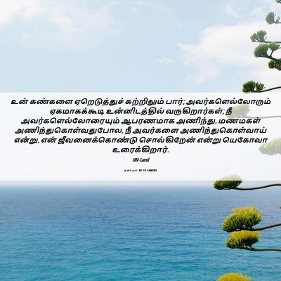 Picture 06 - ஏசாயா 49:18 TAMIRV - உன் கண்களை - Bible Verse Picture