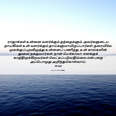 Picture 06 - ஏசாயா 49:23 TAMIRV - ராஜாக்கள் உன்னை - Bible Verse Picture