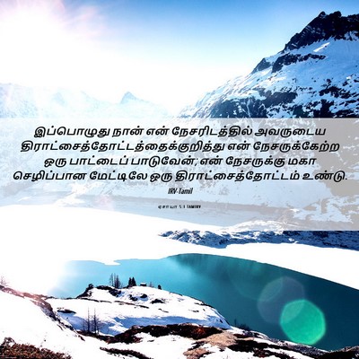 Picture 06 - ஏசாயா 5:1 TAMIRV - இப்பொழுது நான் - Bible Verse Picture