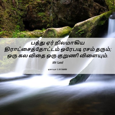 Picture 06 - ஏசாயா 5:10 TAMIRV - பத்து ஏர் - Bible Verse Picture