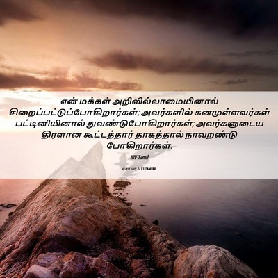 Picture 06 - ஏசாயா 5:13 TAMIRV - என் மக்கள் - Bible Verse Picture