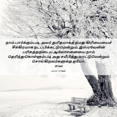 Picture 06 - ஏசாயா 5:19 TAMIRV - நாம் - Bible Verse Picture
