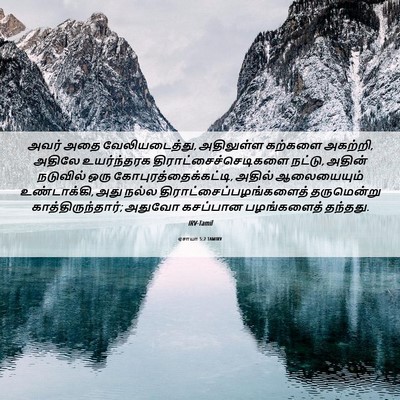 Picture 06 - ஏசாயா 5:2 TAMIRV - அவர் அதை - Bible Verse Picture