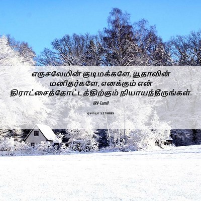 Picture 06 - ஏசாயா 5:3 TAMIRV - எருசலேமின் - Bible Verse Picture