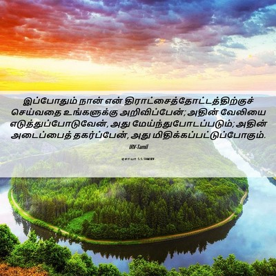 Picture 06 - ஏசாயா 5:5 TAMIRV - இப்போதும் நான் - Bible Verse Picture