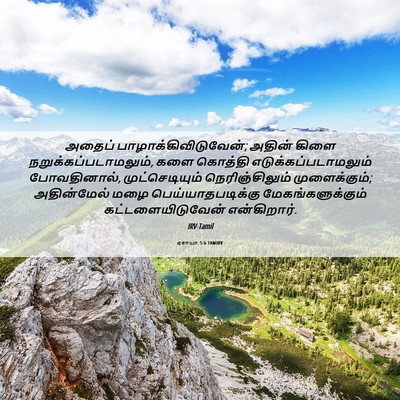 Picture 06 - ஏசாயா 5:6 TAMIRV - அதைப் - Bible Verse Picture