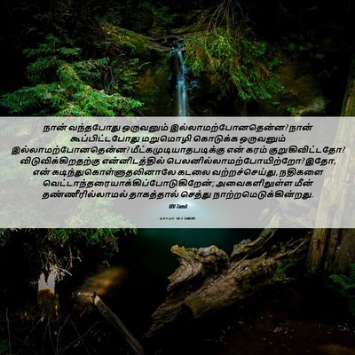 Picture 06 - ஏசாயா 50:2 TAMIRV - நான் வந்தபோது - Bible Verse Picture