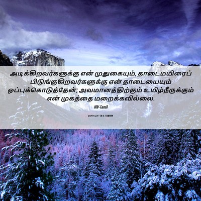 Picture 06 - ஏசாயா 50:6 TAMIRV -  - Bible Verse Picture