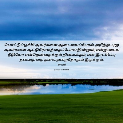 Picture 06 - ஏசாயா 51:8 TAMIRV - பொட்டுப்பூச்சி - Bible Verse Picture