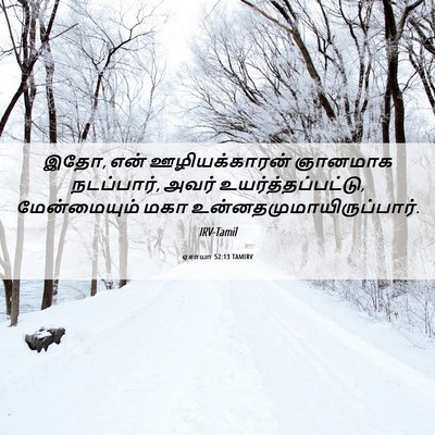 Picture 06 - ஏசாயா 52:13 TAMIRV - இதோ, என் - Bible Verse Picture