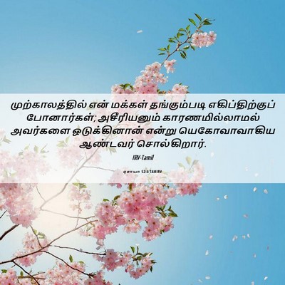 Picture 06 - ஏசாயா 52:4 TAMIRV - முற்காலத்தில் என் - Bible Verse Picture