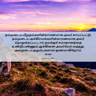 Picture 06 - ஏசாயா 53:5 TAMIRV - நம்முடைய - Bible Verse Picture