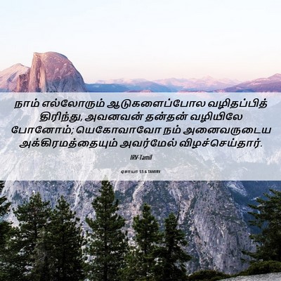 Picture 06 - ஏசாயா 53:6 TAMIRV - நாம் எல்லோரும் - Bible Verse Picture