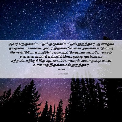 Picture 06 - ஏசாயா 53:7 TAMIRV - அவர் - Bible Verse Picture