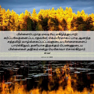 Picture 06 - ஏசாயா 54:1 TAMIRV - பிள்ளைபெறாத - Bible Verse Picture