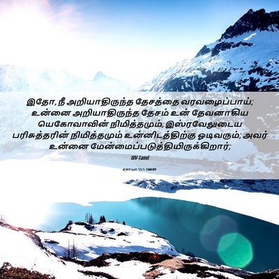Picture 06 - ஏசாயா 55:5 TAMIRV - இதோ, நீ - Bible Verse Picture