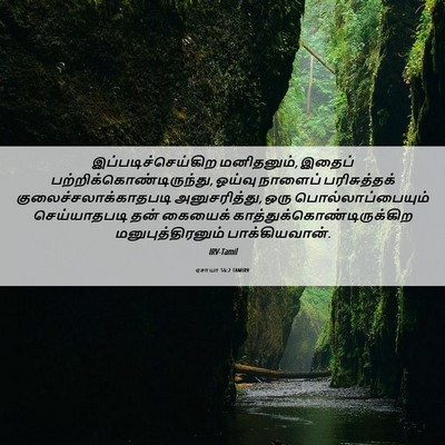 Picture 06 - ஏசாயா 56:2 TAMIRV - இப்படிச்செய்கிற - Bible Verse Picture
