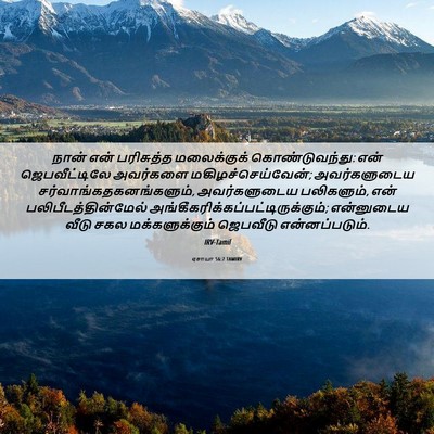 Picture 06 - ஏசாயா 56:7 TAMIRV - நான் என் பரிசுத்த - Bible Verse Picture