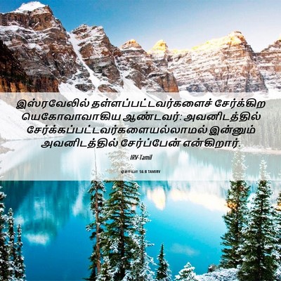 Picture 06 - ஏசாயா 56:8 TAMIRV - இஸ்ரவேலில் - Bible Verse Picture