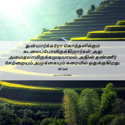 Picture 06 - ஏசாயா 57:20 TAMIRV - துன்மார்க்கரோ - Bible Verse Picture