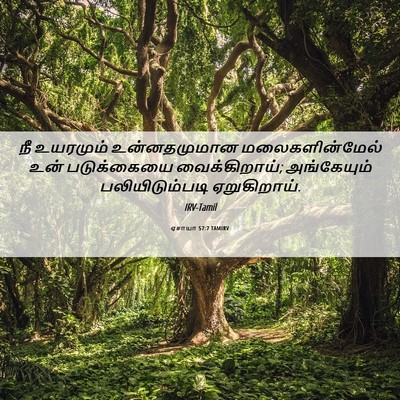 Picture 06 - ஏசாயா 57:7 TAMIRV - நீ உயரமும் - Bible Verse Picture