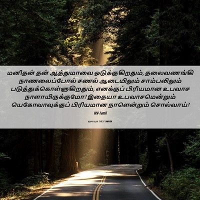 Picture 06 - ஏசாயா 58:5 TAMIRV - மனிதன் தன் - Bible Verse Picture