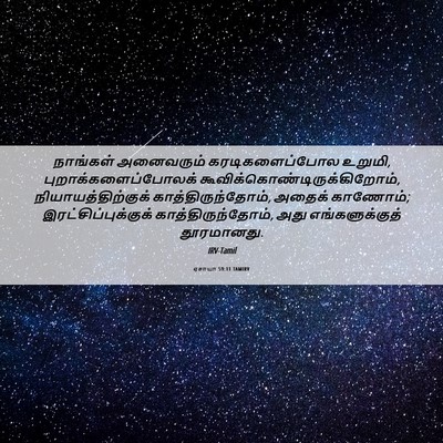 Picture 06 - ஏசாயா 59:11 TAMIRV - நாங்கள் அனைவரும் - Bible Verse Picture