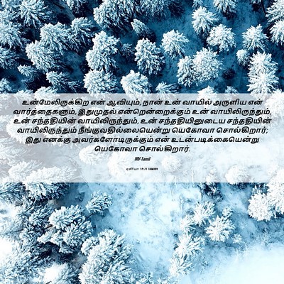 Picture 06 - ஏசாயா 59:21 TAMIRV - உன்மேலிருக்கிற - Bible Verse Picture