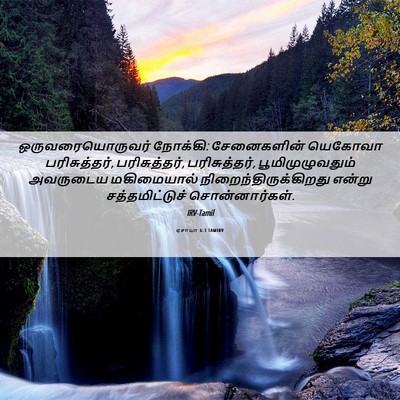Picture 06 - ஏசாயா 6:3 TAMIRV - ஒருவரையொருவர் - Bible Verse Picture