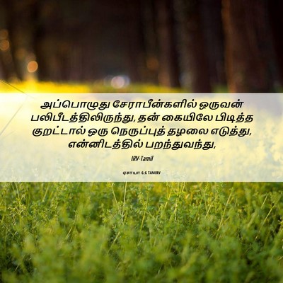 Picture 06 - ஏசாயா 6:6 TAMIRV - அப்பொழுது - Bible Verse Picture