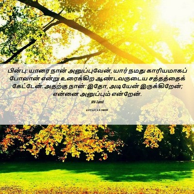 Picture 06 - ஏசாயா 6:8 TAMIRV - பின்பு: யாரை நான் - Bible Verse Picture