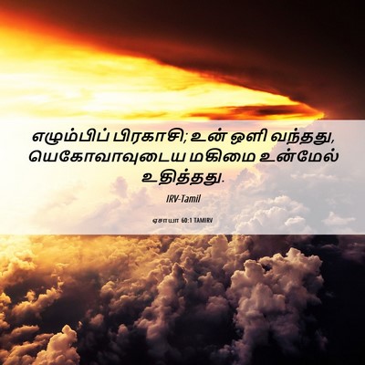 Picture 06 - ஏசாயா 60:1 TAMIRV - எழும்பிப் - Bible Verse Picture