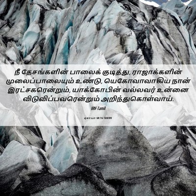 Picture 06 - ஏசாயா 60:16 TAMIRV - நீ தேசங்களின் - Bible Verse Picture