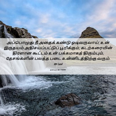 Picture 06 - ஏசாயா 60:5 TAMIRV - அப்பொழுது நீ - Bible Verse Picture