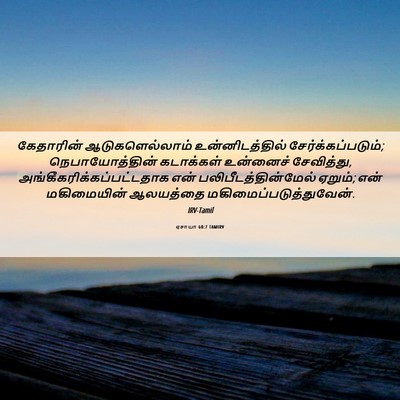 Picture 06 - ஏசாயா 60:7 TAMIRV - கேதாரின் - Bible Verse Picture