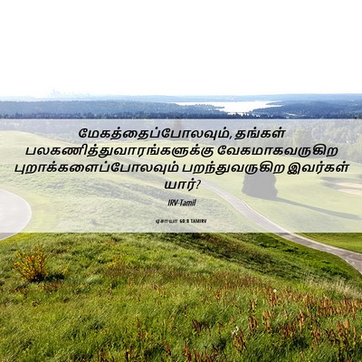 Picture 06 - ஏசாயா 60:8 TAMIRV - மேகத்தைப்போலவும், - Bible Verse Picture