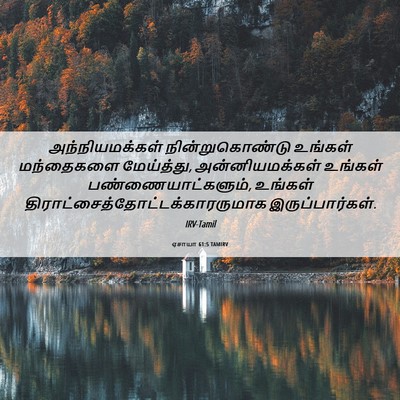 Picture 06 - ஏசாயா 61:5 TAMIRV - அந்நியமக்கள் - Bible Verse Picture