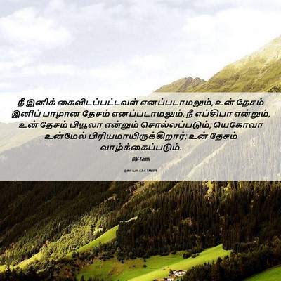 Picture 06 - ஏசாயா 62:4 TAMIRV - நீ இனிக் - Bible Verse Picture