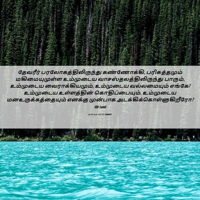 Picture 06 - ஏசாயா 63:15 TAMIRV - தேவரீர் - Bible Verse Picture