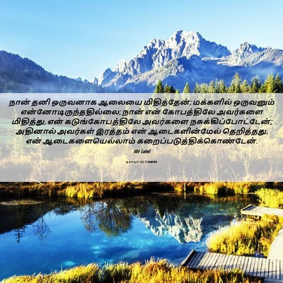 Picture 06 - ஏசாயா 63:3 TAMIRV - நான் தனி ஒருவனாக - Bible Verse Picture