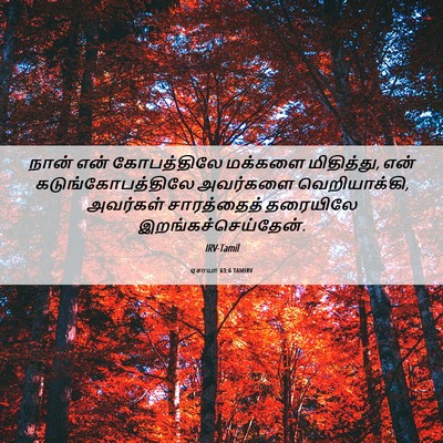 Picture 06 - ஏசாயா 63:6 TAMIRV - நான் என் - Bible Verse Picture