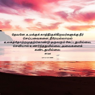 Picture 06 - ஏசாயா 64:4 TAMIRV - தேவனே, உமக்குக் - Bible Verse Picture