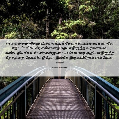 Picture 06 - ஏசாயா 65:1 TAMIRV - என்னைக்குறித்து - Bible Verse Picture