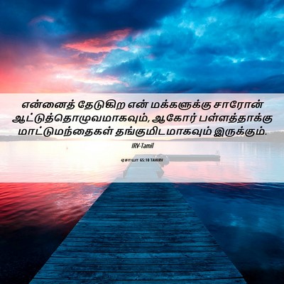 Picture 06 - ஏசாயா 65:10 TAMIRV - என்னைத் தேடுகிற - Bible Verse Picture