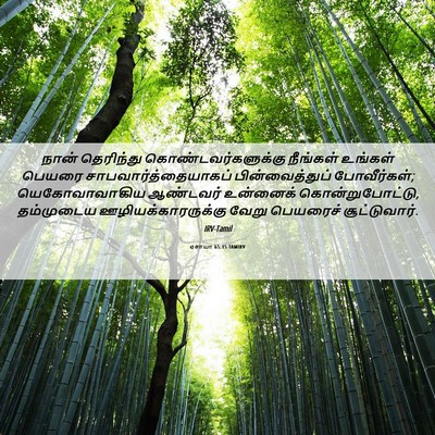 Picture 06 - ஏசாயா 65:15 TAMIRV - நான் தெரிந்து - Bible Verse Picture