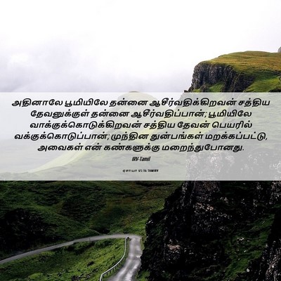 Picture 06 - ஏசாயா 65:16 TAMIRV - அதினாலே பூமியிலே - Bible Verse Picture