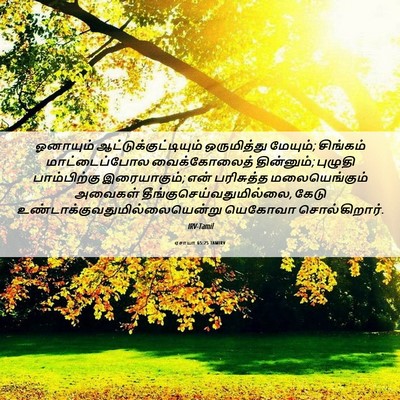 Picture 06 - ஏசாயா 65:25 TAMIRV - ஓனாயும் - Bible Verse Picture