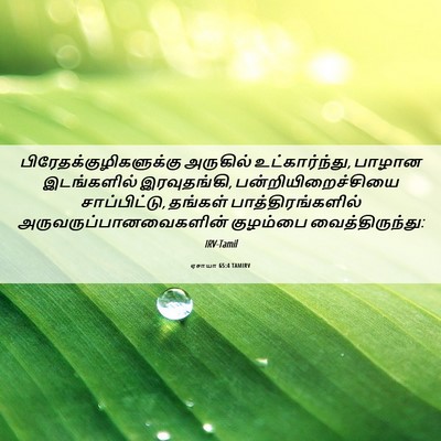 Picture 06 - ஏசாயா 65:4 TAMIRV -  - Bible Verse Picture