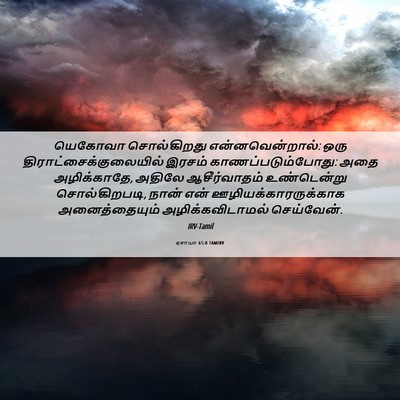 Picture 06 - ஏசாயா 65:8 TAMIRV - யெகோவா சொல்கிறது - Bible Verse Picture